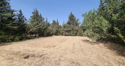 Grillon Terrain à bâtir - 2289447-812annonce120251001rQfpI.jpeg Maisons Open