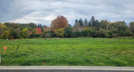 Mulsanne Terrain à bâtir - 2321029-11651annonce120251029zJuOk.jpeg Maisons Open