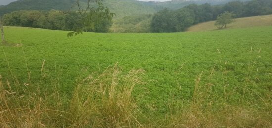 Terrain à bâtir à Surville, Normandie