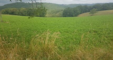 Saint-Aubin-sur-Gaillon Terrain à bâtir - 2286981-9835annonce120250929tC0g2.jpeg Maisons Open