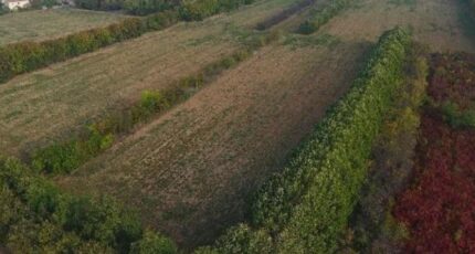 Valence Terrain à bâtir - 2353939-11248annonce220251201PEQ1T.jpeg Maisons Open