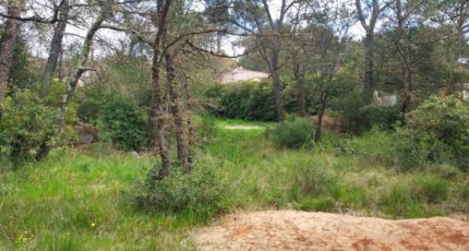 Rocbaron Terrain à bâtir - 2246697-11137annonce120250408JsMHH.jpeg Maisons Open