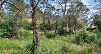 Rocbaron Terrain à bâtir - 2246697-11137annonce220250408MX7AO.jpeg Maisons Open