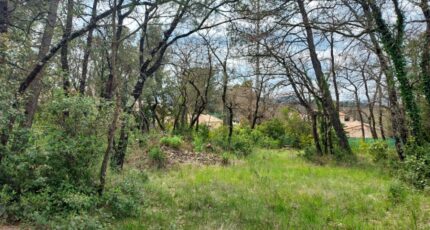 Rocbaron Terrain à bâtir - 2246697-11137annonce320250408QvkDa.jpeg Maisons Open