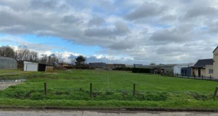 Marles-en-Brie Terrain à bâtir - 2353225-11231annonce120251201nbAqZ.jpeg Maisons Open