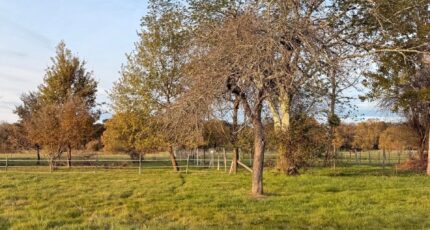 Prigonrieux Terrain à bâtir - 2354657-11709annonce120251202PnCnB.jpeg Maisons Open