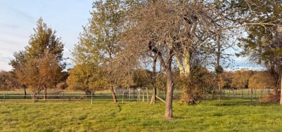 Terrain à bâtir à Prigonrieux, Nouvelle-Aquitaine