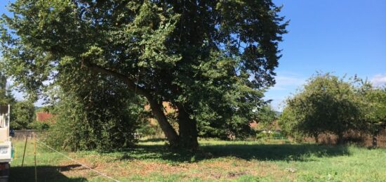Terrain à bâtir à Bazoches-sur-Guyonne, Île-de-France