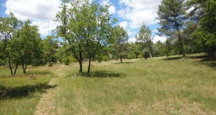 Quinsac Terrain à bâtir - 2354766-1686annonce120251202zgBwP.jpeg Maisons Open