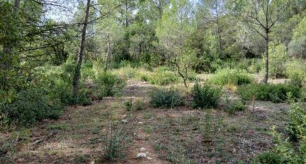 Galargues Terrain à bâtir - 2355045-11169annonce120251202TFUNb.jpeg Maisons Open