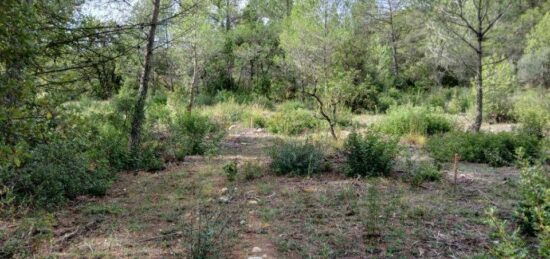 Terrain à bâtir à Galargues, Occitanie