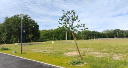 Tosse Terrain à bâtir - 2355015-3585annonce320251202l6uHX.jpeg Maisons Open