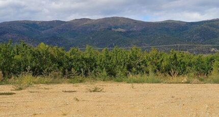 Los Masos Terrain à bâtir - 2290562-4671annonce120251002KzQyR.jpeg Maisons Open