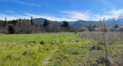 Rodès Terrain à bâtir - 2291296-4671annonce120251002a1VVh.jpeg Maisons Open