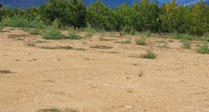 Los Masos Terrain à bâtir - 2290598-4671annonce120251002VTRU1.jpeg Maisons Open