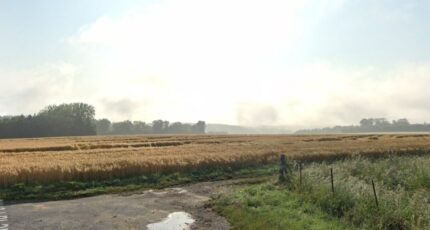 Le Bocasse Terrain à bâtir - 2290445-1887annonce120251002ipWR6.jpeg Maisons Open