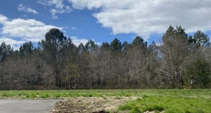 Saint-Selve Terrain à bâtir - 2355978-10509annonce120251203FAuCJ.jpeg Maisons Open