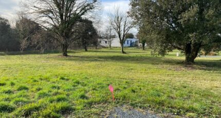 Saint-Vaize Terrain à bâtir - 2355842-11194annonce320251203Z75V9.jpeg Maisons Open