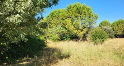 Alès Terrain à bâtir - 2321228-11556annonce320251029lbZvR.jpeg Maisons Open