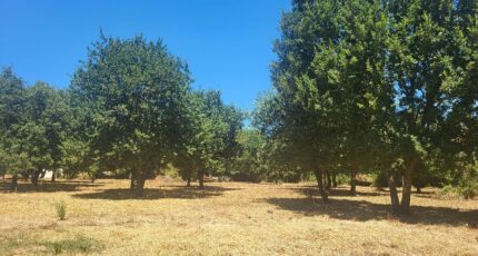 Montignargues Terrain à bâtir - 2321381-11556annonce120251029Vhp8r.jpeg Maisons Open