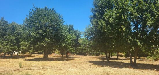Terrain à bâtir à Montignargues, Occitanie