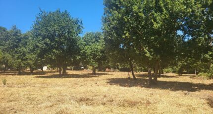 Montignargues Terrain à bâtir - 2321381-11556annonce220251029neU7M.jpeg Maisons Open