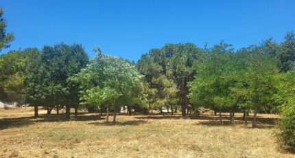 Montignargues Terrain à bâtir - 2321381-11556annonce420251029cnBat.jpeg Maisons Open