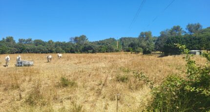 Orthoux-Sérignac-Quilhan Terrain à bâtir - 2321690-11556annonce220251030FkILo.jpeg Maisons Open