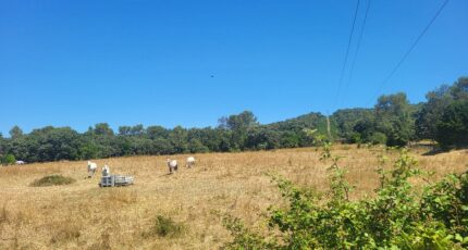 Orthoux-Sérignac-Quilhan Terrain à bâtir - 2321745-11556annonce120251030nFr1B.jpeg Maisons Open