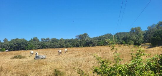 Terrain à bâtir à Orthoux-Sérignac-Quilhan, Occitanie