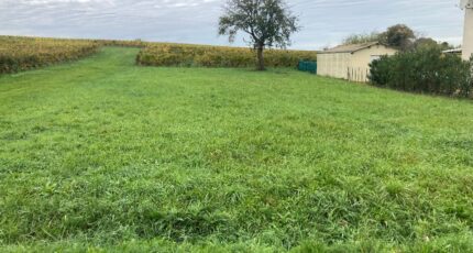 Saint-Sauveur-de-Puynormand Terrain à bâtir - 2356184-11367annonce120251203hEE9p.jpeg Maisons Open