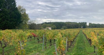 Saint-Sauveur-de-Puynormand Terrain à bâtir - 2356169-11367annonce120251203AhpfK.jpeg Maisons Open