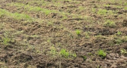 Franqueville-Saint-Pierre Terrain à bâtir - 2290554-5578annonce220251002AydSB.jpeg Maisons Open