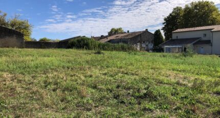 Saint-Selve Terrain à bâtir - 2356382-1090annonce1202512031Al6I.jpeg Maisons Open