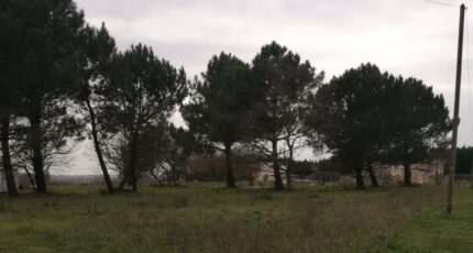 Arsac Terrain à bâtir - 2267066-11016annonce120250910xqy9Q.jpeg Maisons Open