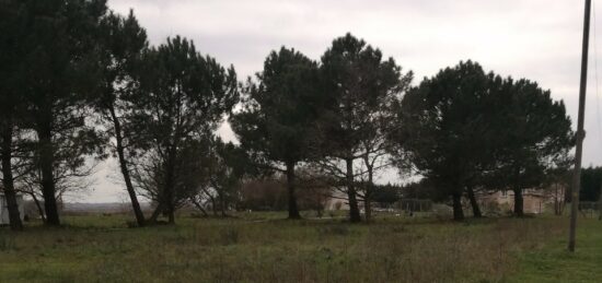 Terrain à bâtir à Arsac, Nouvelle-Aquitaine