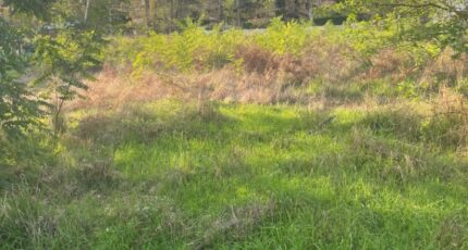 Saint-Aubin-de-Médoc Terrain à bâtir - 2317469-11016annonce120251024ATrJR.jpeg Maisons Open