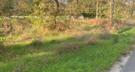 Le Pian-Médoc Terrain à bâtir - 2317443-11016annonce1202510240dox4.jpeg Maisons Open