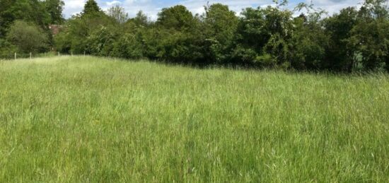 Terrain à bâtir à , Yvelines