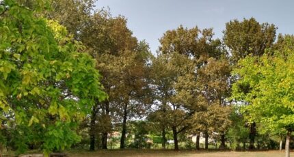 Le Taillan-Médoc Terrain à bâtir - 2356741-1686annonce120251106F2iEZ.jpeg Maisons Open