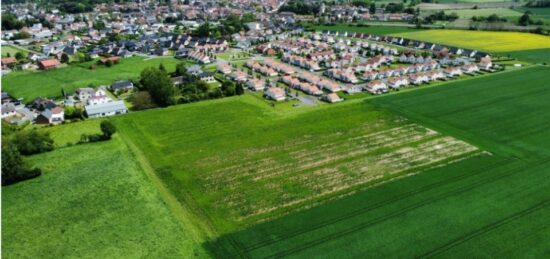 Terrain à bâtir à , Pas-de-Calais
