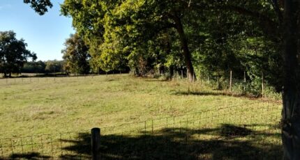 Margaux Terrain à bâtir - 2357560-1686annonce120250910s6iwh.jpeg Maisons Open