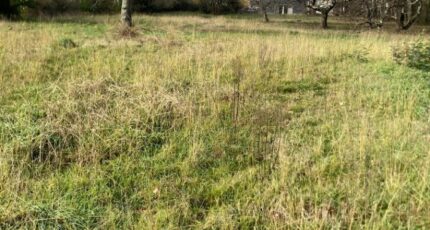 Le Taillan-Médoc Terrain à bâtir - 2358283-7351annonce120251205Mt8xC.jpeg Maisons Open