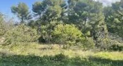 Marseille 12 Terrain à bâtir - 2358474-7054annonce320251205DC1Em.jpeg Maisons Open