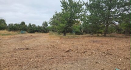 Pinsaguel Terrain à bâtir - 2355467-10326annonce120251203ISSVW.jpeg Maisons Open