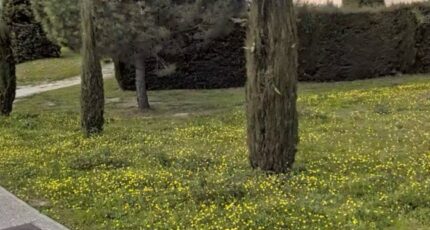 Cadenet Terrain à bâtir - 2358712-7054annonce420251205V01zJ.jpeg Maisons Open