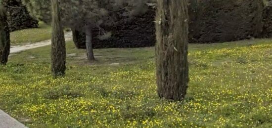 Terrain à bâtir à Cadenet, Provence-Alpes-Côte d'Azur