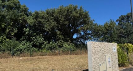 Balaruc-le-Vieux Terrain à bâtir - 2306922-11455annonce120251015TDD6R.jpeg Maisons Open