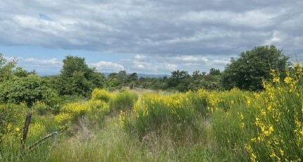 Montéléger Terrain à bâtir - 2324676-812annonce420250530IxXQz.jpeg Maisons Open