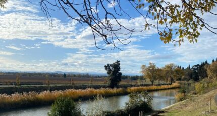 Roubia Terrain à bâtir - 2357919-692annonce2202512044ZfML.jpeg Maisons Open